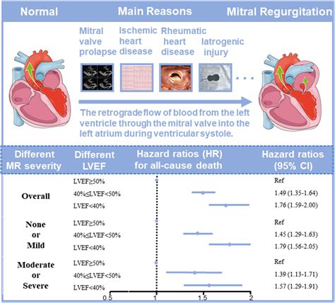 lvef 60|35 ejection fraction prognosis.